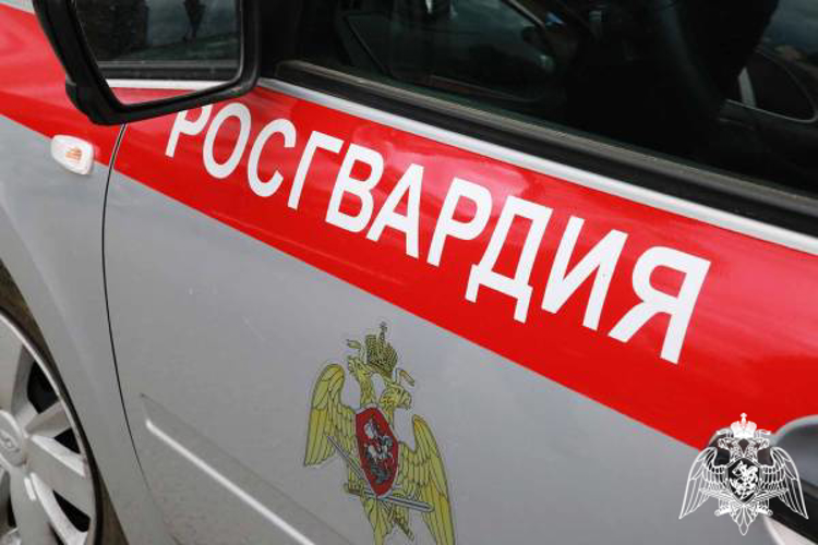 В Саранске сотрудники Росгвардии задержали злоумышленника