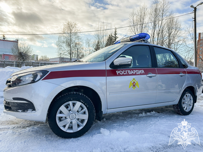 В Мордовии в период с 1 по 31 января  росгвардейцы 494 раза выезжали по сигналу "Тревога"
