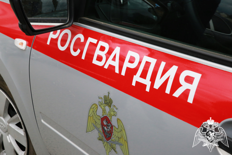 В Саранске росгвардейцы задержали гражданина, по подозрению в совершении противоправных действий.