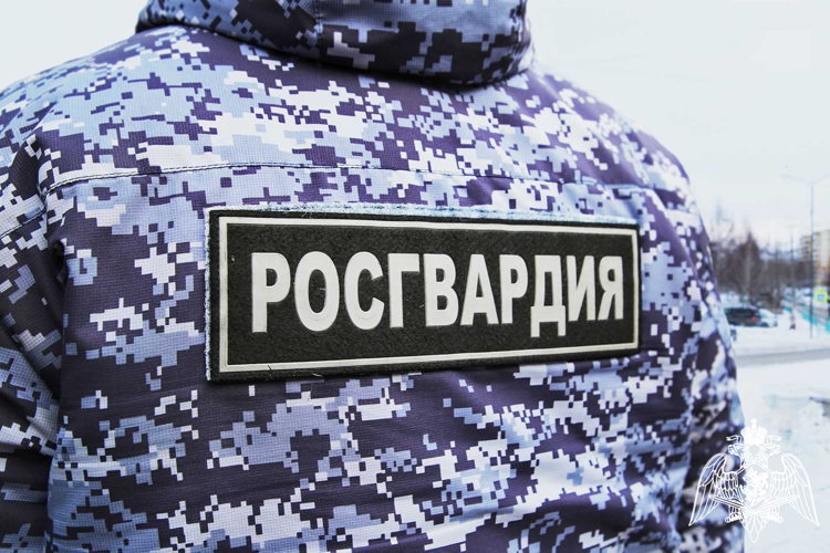 В Мордовии росгвардейцы задержали гражданина по подозрению в нанесении побоев