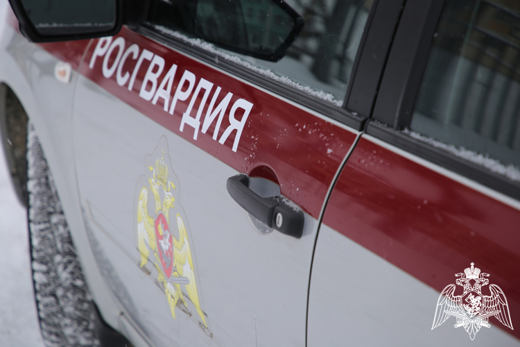 В Саранске сотрудники Росгвардии задержали жителя Магадананской области по подозрению в нанесении телесных повреждений