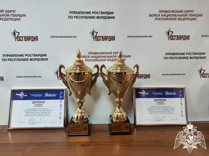 Представители территориального управления Росгвардии отмечены спортивным обществом «Динамо» в Мордовии