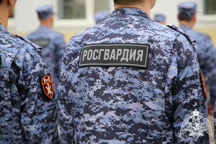 В Мордовии росгвардейцы задержали жителя Казани, по подозрению в повреждении имущества