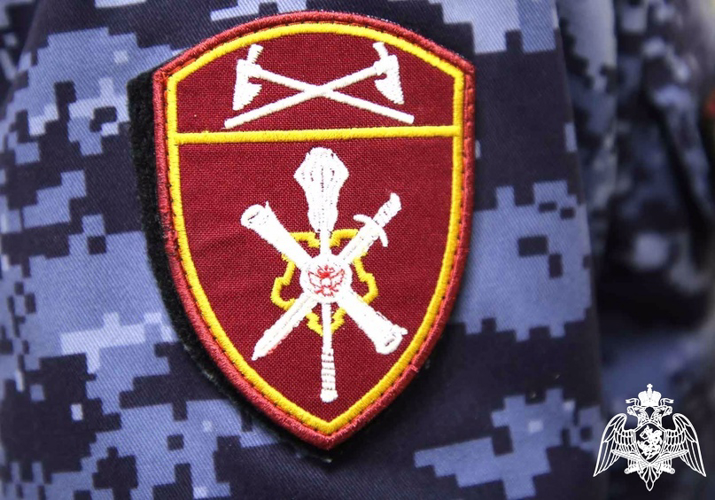 В Мордовии сотрудниками Росгвардии за прошедшую неделю изъяты 6 единиц оружия