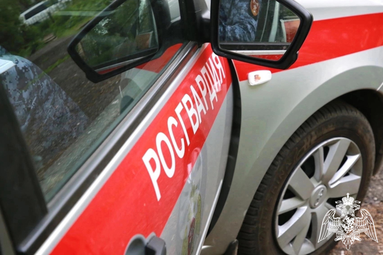 В Мордовии росгвардейцы задержали гражданку по подозрению в угрозе убийством