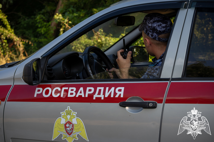 В Мордовии экипаж Росгвардии задержал очередного правонарушителя