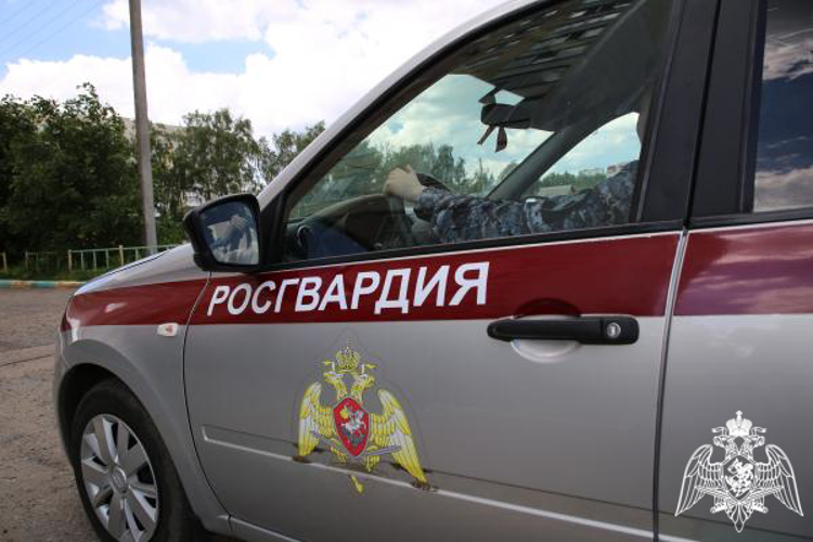 В Ромоданово росгвардейцы пресекли мелкое хищение в сетевом магазине 