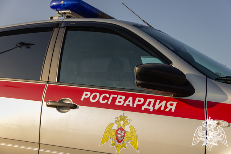 В Саранске сотрудники Росгвардии задержали злоумышленника