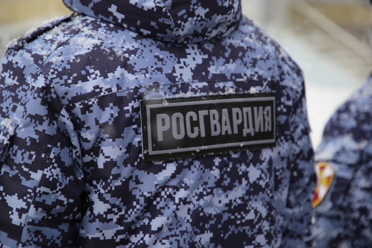 В Саранске росгвардейцы пресекли мелкое хищение в сетевом магазине 