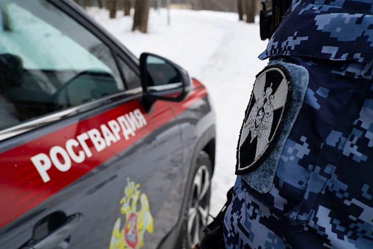 В Саранске благодаря бдительности работников магазина, росгвардейцы задержали похитителя  строительного инструмента