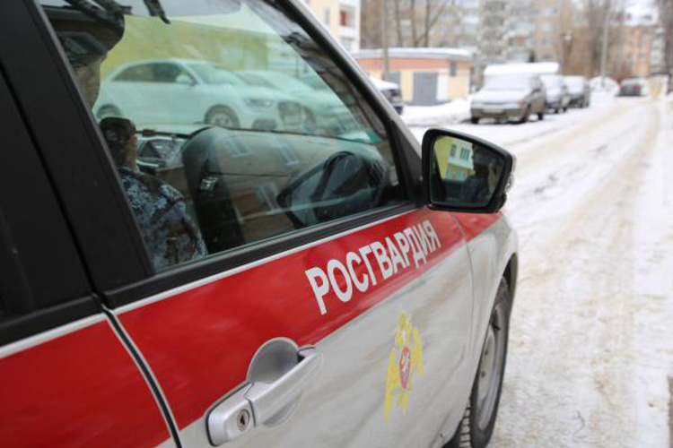 В Саранске благодаря бдительности охраны, росгвардейцы пресекли мелкое хищение в сетевом магазине 