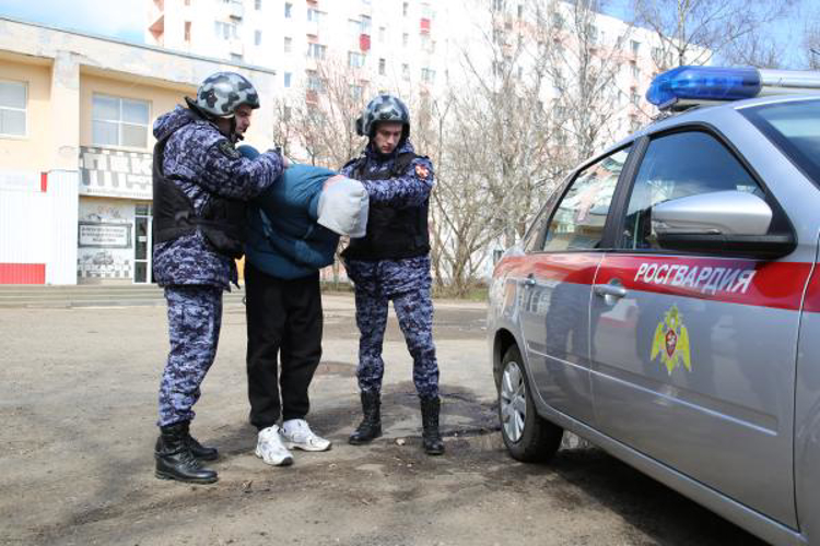В Краснослободском районе росгвардейцы во взаимодействии с сотрудниками полиции задержали злоумышленника за покушение на кражу со взломом