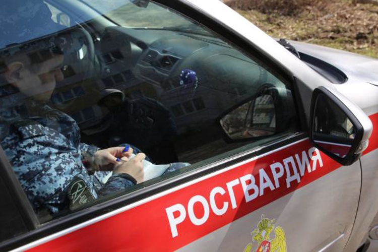 В Чамзинском районе сотрудники Росгвардии задержали гражданку по подозрению в повреждении имущества