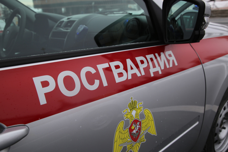 В Саранске экипаж Росгвардии задержал очередного правонарушителя