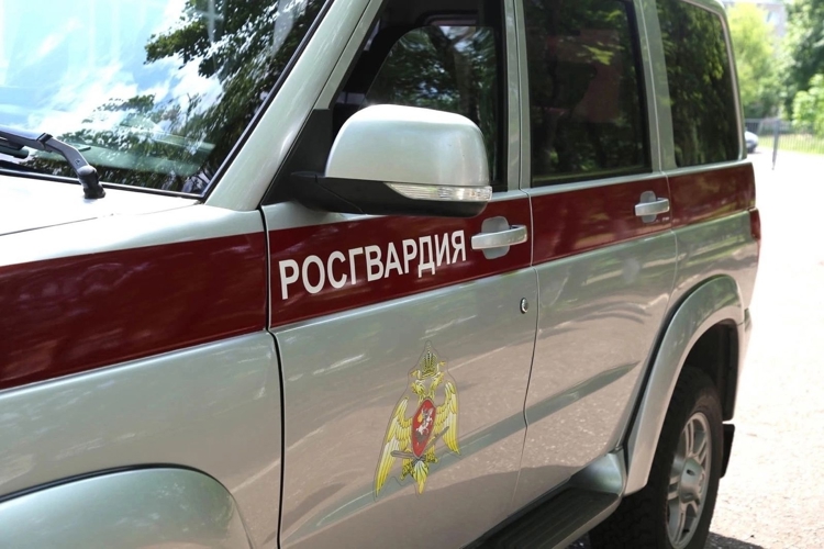 В Мордовии за неделю росгвардейцы 67 раз выезжали по сигналу "Тревога"