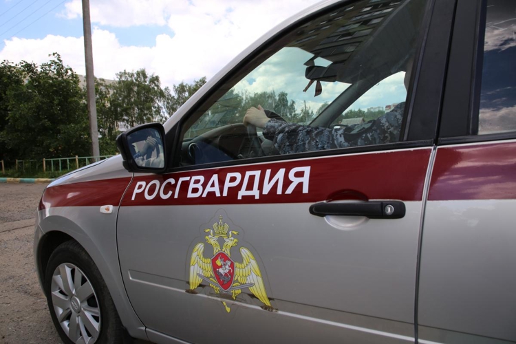 В Саранске сотрудники Росгвардии задержали молодого хулигана в торговом центре