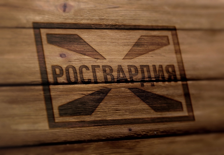 При силовой поддержке спецназа Росгвардии прошли рейды по соблюдению миграционного законодательства в Мордовии