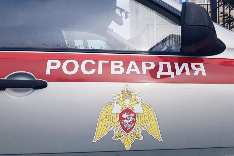 В Мордовии за неделю экипажи Росгвардии 65 раз выезжали по сигналу "Тревога"