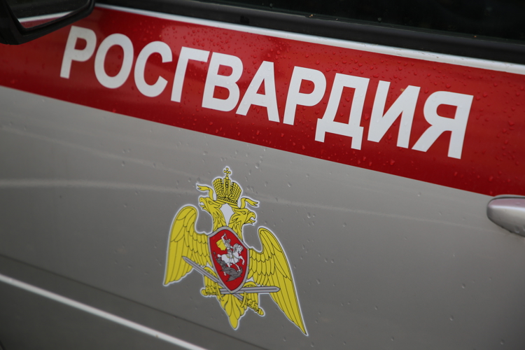 В Мордовии сотрудники вневедомственной охраны Росгвардии за январь пресекли более 40 административных правонарушений