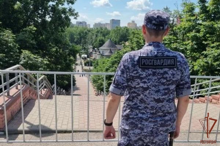 В Мордовии при проведении Дня России и Дня города нарушений общественного порядка не допущено