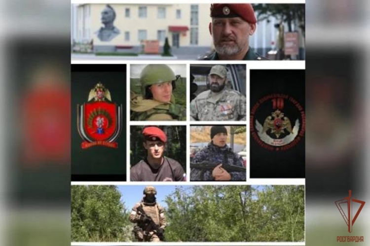 В рамках фестиваля медийного творчества "Братина" проводится показ документальных фильмов о героях СВО