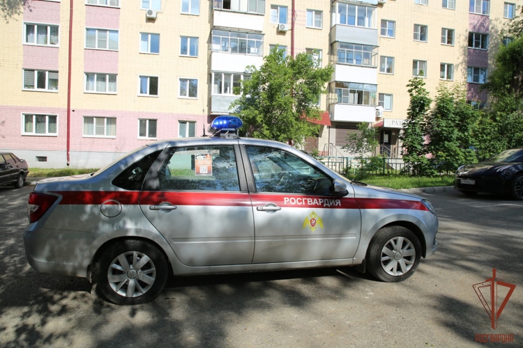 В Мордовии больше 150 административных правонарушений  пресекли  сотрудники вневедомственной охраны Росгвардии за май 
