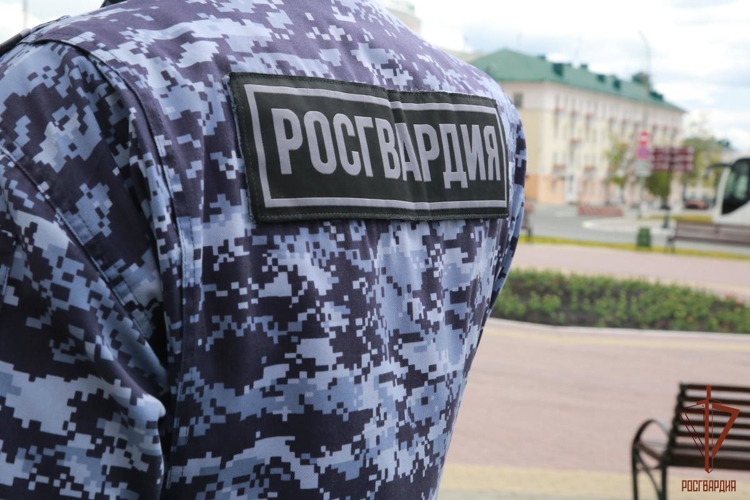 В Мордовии росгвардейцы осуществят охрану общественного порядка на массовых мероприятиях