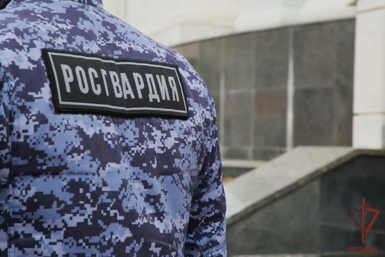 В Саранске сотрудниками Росгвардии оперативно пресечены правонарушения  