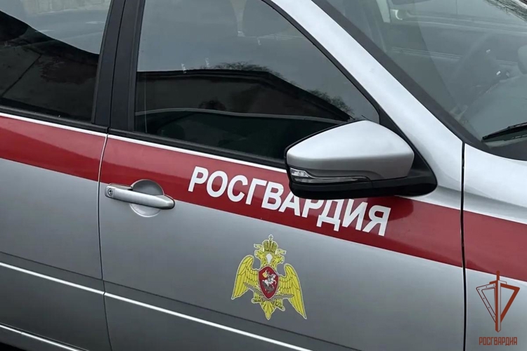 В Саранске росгвардейцы пресекли нарушение правопорядка: «отдых» на лавочке закончился в отделе полиции