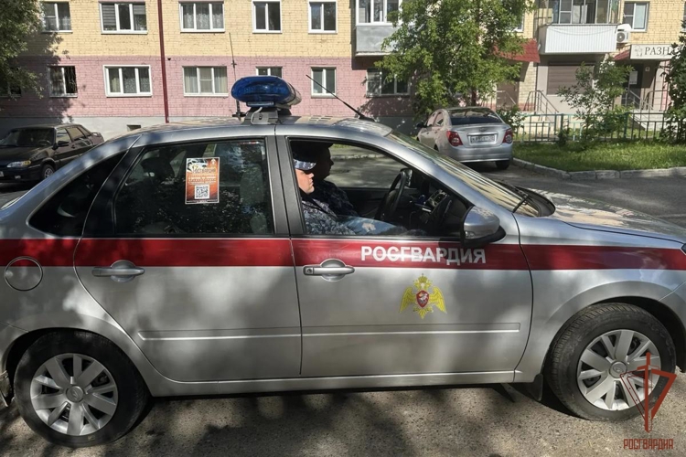 В Саранске сотрудники Росгвардии оперативно отреагировали на ДТП с пешеходом