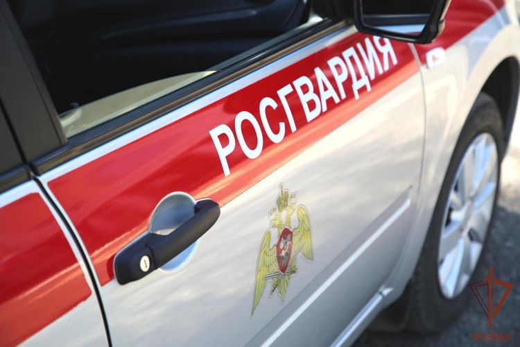 В Рузаевке сотрудники Росгвардии предотвратили потенциально опасные ситуации на дороге