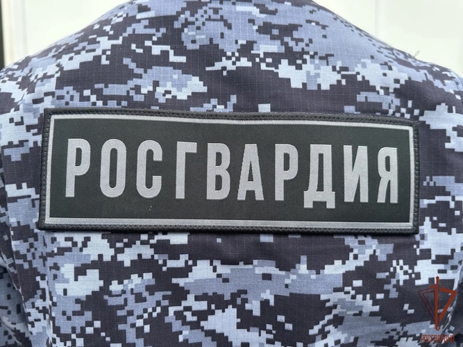 В Саранске росгвардейцами пресечен факт мелкого хулиганства