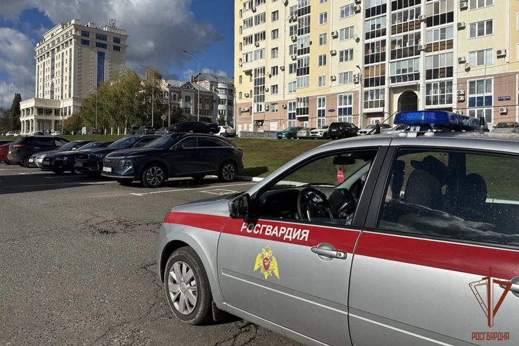 В Рузаевке росгвардейцы задержали нетрезвого водителя