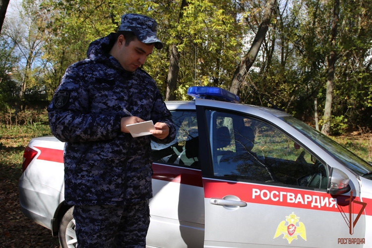 В Ардатове сотрудниками Росгвардии выявлены три факта дорожных нарушений
