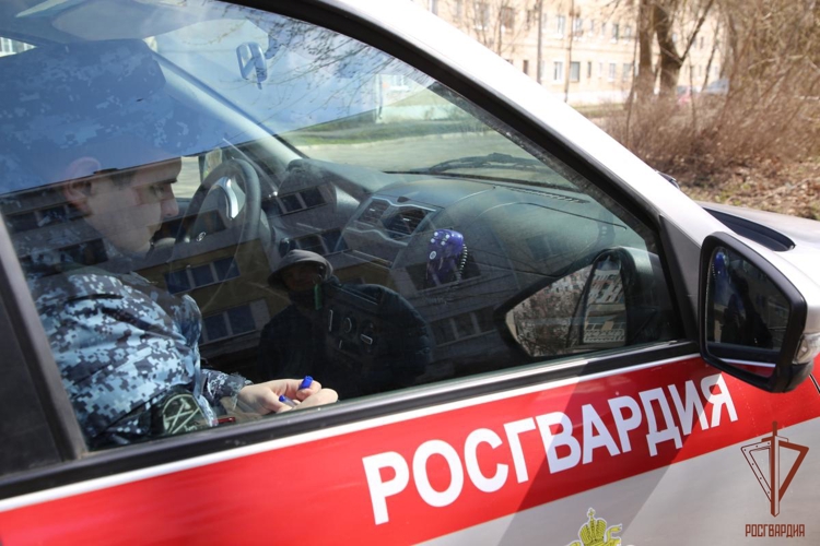 В Зубово-Поляне росгвардейцы оказали содействие в задержании нетрезвого водителя