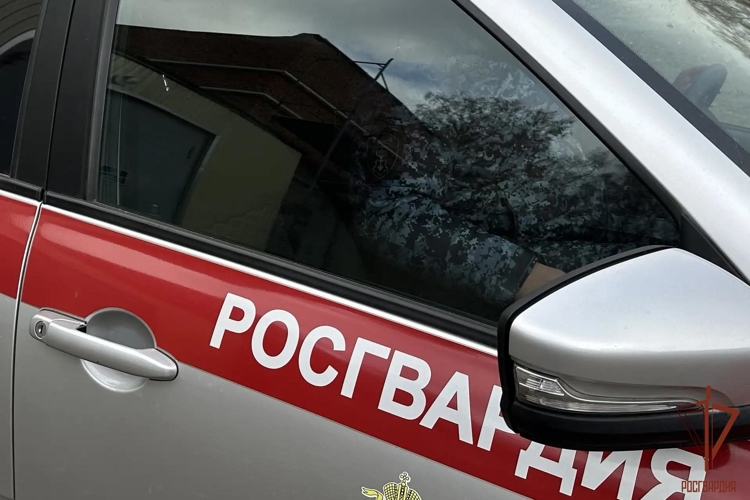 Два случая за несколько дней: в Зубово-Поляне сотрудники Росгвардии выявили еще одно правонарушение на дороге с участием несовершеннолетнего